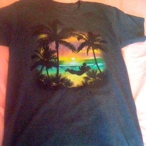 It is a Disneyland resort t-shirt